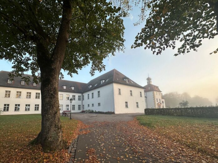 Bild vergrößern
