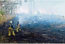 Nutzfeuer gerät außer Kontrolle ©Feuerwehr Ludwigsstadt Ein Nutzfeuer ist am Donnerstagnachmittag auf einem gerodeten Waldgrundstück am Eisenberg zwischen Ludwigsstadt und Ebersdorf außer Kontrolle geraten.