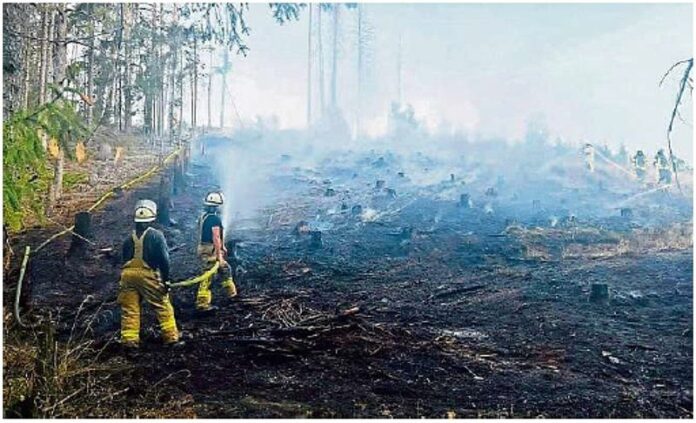©Feuerwehr Ludwigsstadt Ein Nutzfeuer ist am Donnerstagnachmittag auf einem gerodeten Waldgrundstück am Eisenberg zwisch ©Feuerwehr Ludwigsstadt Ein Nutzfeuer ist am Donnerstagnachmittag auf einem gerodeten Waldgrundstück am Eisenberg zwischen Ludwigsstadt und Ebersdorf außer Kontrolle geraten.