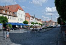 Rhön-Grabfeld: Kinderrechte-Quiz bringt Johannes Geßner eine Alpakawanderung Bad Neustadt-9465-Bearbeitet