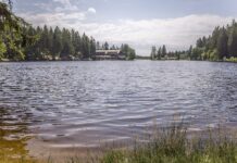 Bayreuth: Pflegekurs für Angehörige und Ehrenamtliche ab 31. Oktober Blick über den Fichtelsee zum Hotel