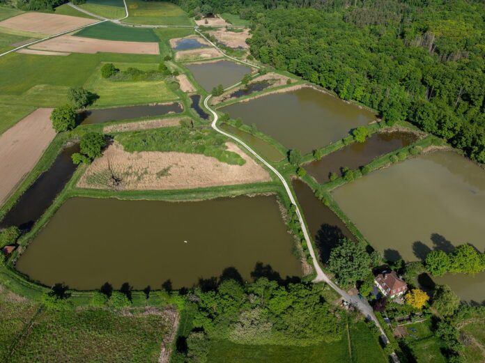 Forchheim Örtlbergweiher FFH Gebiet , Luftbild- -RM-172338