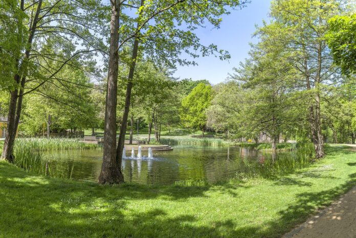 See am Philosophengang im Motherwell-Park in Schweinfurt