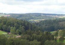 Furth im Wald und Umland: Regionalbudget 2027 fördert Kleinprojekte Traitsching, CHA - Obergoßzell nördl - Michelsneukirchen, CHA v O, Vorwald (Michelsneukirchen)