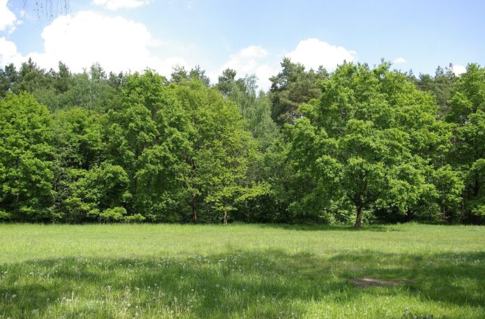 Landkreis Erlangen-Höchstadt Gemeindefreies Gebiet Mark (Mark)