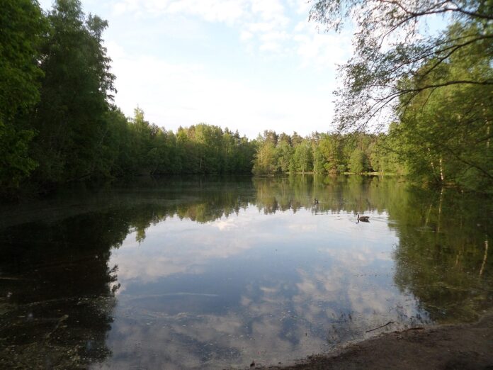 Weissensee SAM 5475 (Erlenstegener Forst)