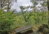 Schwarzenbach an der Saale: Förderanträge für Kinder und Jugend bis 26. November Blick auf Lichtenberg - panoramio (Issigau)