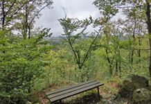 Schwarzenbach an der Saale: Förderanträge für Kinder und Jugend bis 26. November Blick auf Lichtenberg - panoramio (Issigau)