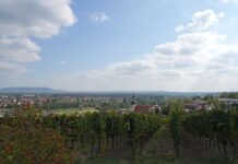 Schwarzach am Main: Herbst-Markt im Fair-Handel der Abtei Münsterschwarzach Mainstockheim (Mainstockheim)