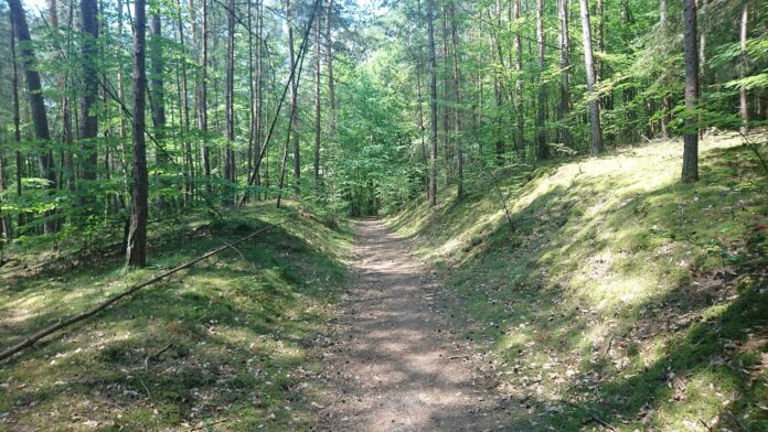 SpessartBeiElsenfeld