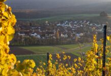 Frankenwinheim feiert Erntedank mit Pfarrer Andreas Engert Michelau im Steigerwald- -RM-154347 (Michelau im Steigerwald)