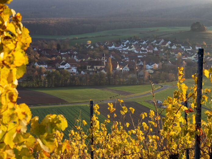 Michelau im Steigerwald- -RM-154347 (Michelau im Steigerwald)