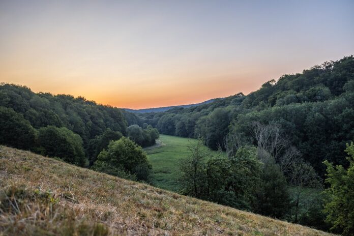 Prüssberg Blick in Spitalgrund (Hundelshausen)