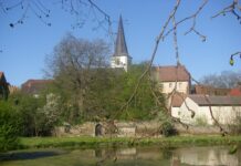 Frankenwinheim: Neun Feuerwehrleute bestehen Leistungsprüfung (Frankenwinheim)